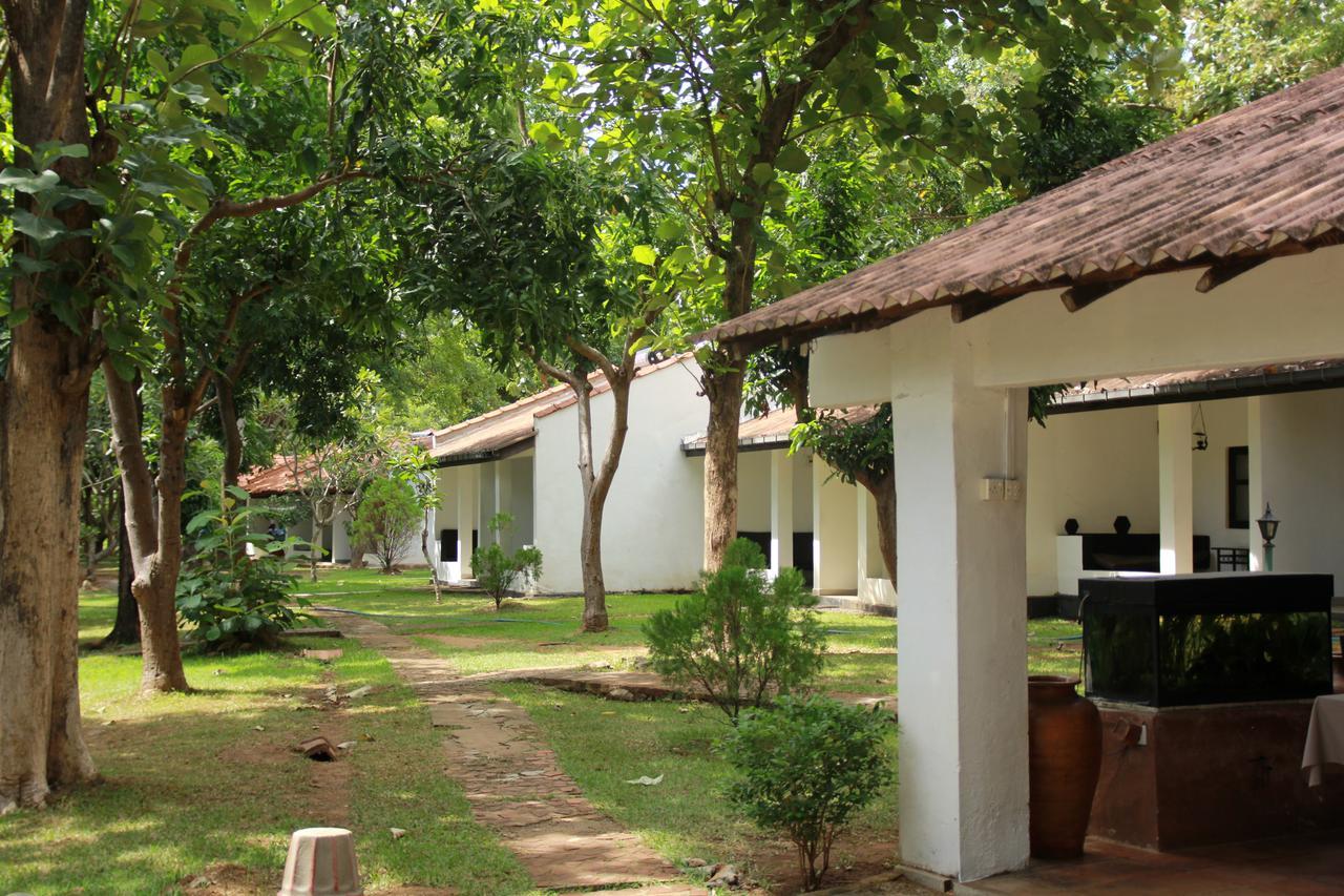 Dambulu Oya Family Park Dambulla Exterior foto