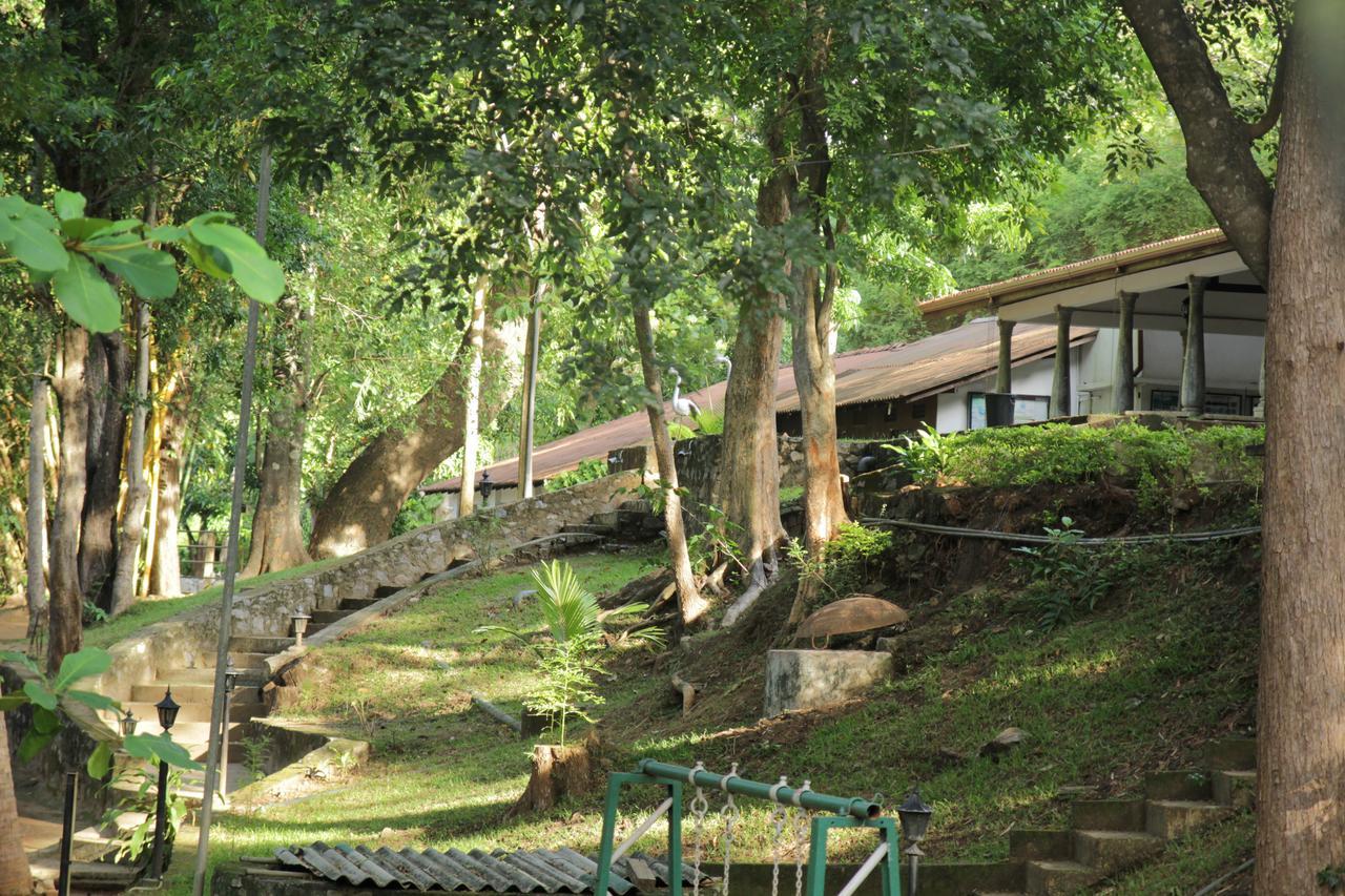 Dambulu Oya Family Park Dambulla Exterior foto
