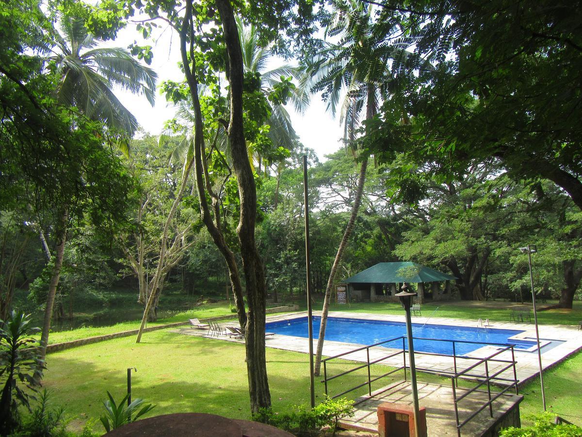 Dambulu Oya Family Park Dambulla Exterior foto