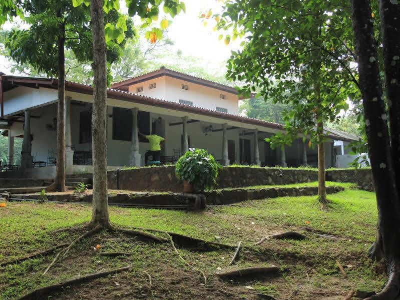 Dambulu Oya Family Park Dambulla Exterior foto