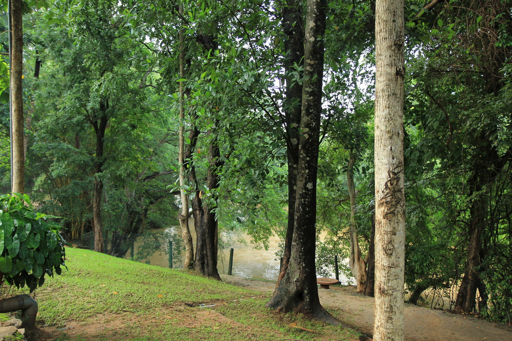 Dambulu Oya Family Park Dambulla Exterior foto