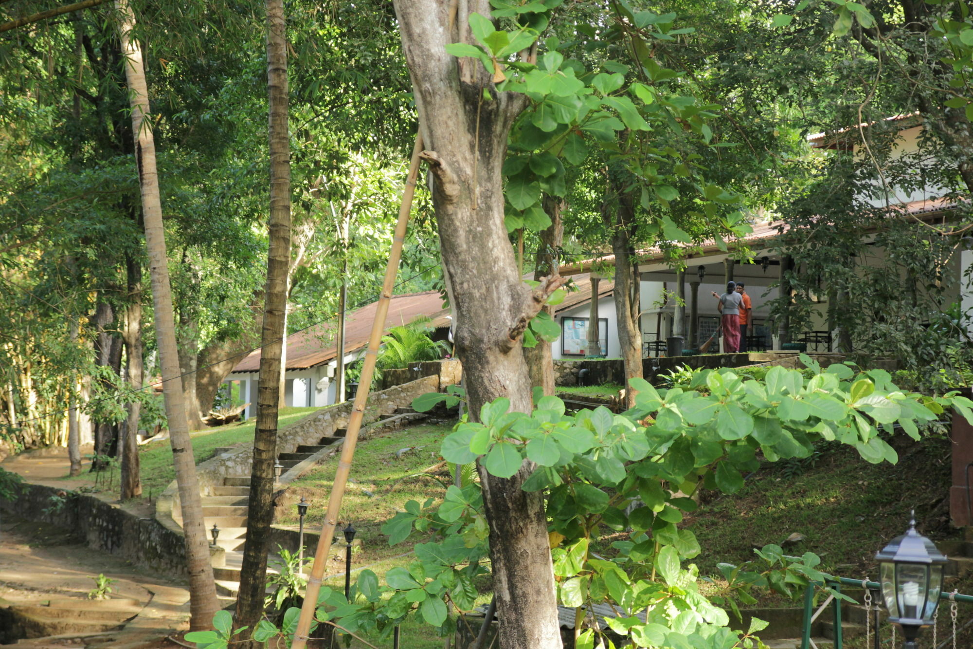 Dambulu Oya Family Park Dambulla Exterior foto