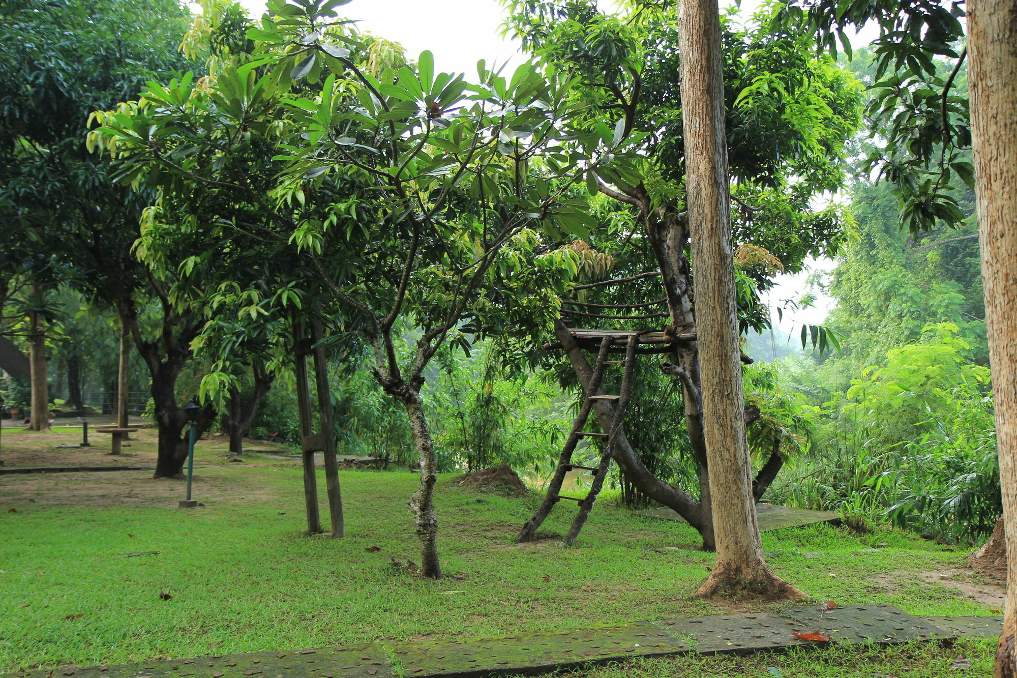 Dambulu Oya Family Park Dambulla Exterior foto